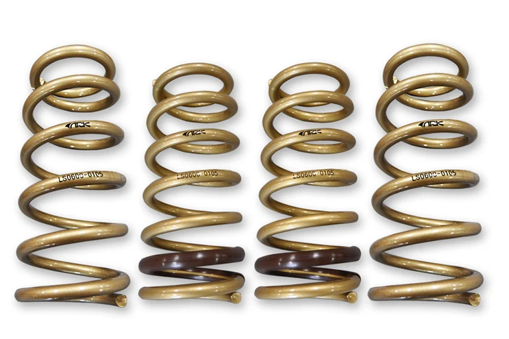 ARK Performance GT-S Lowering Springs | 2000-2009 Honda S2000 (LS0600-0105)
